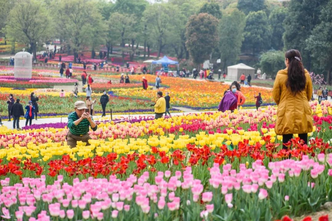 成都市秀丽东方,成都秀丽东方还在开放吗