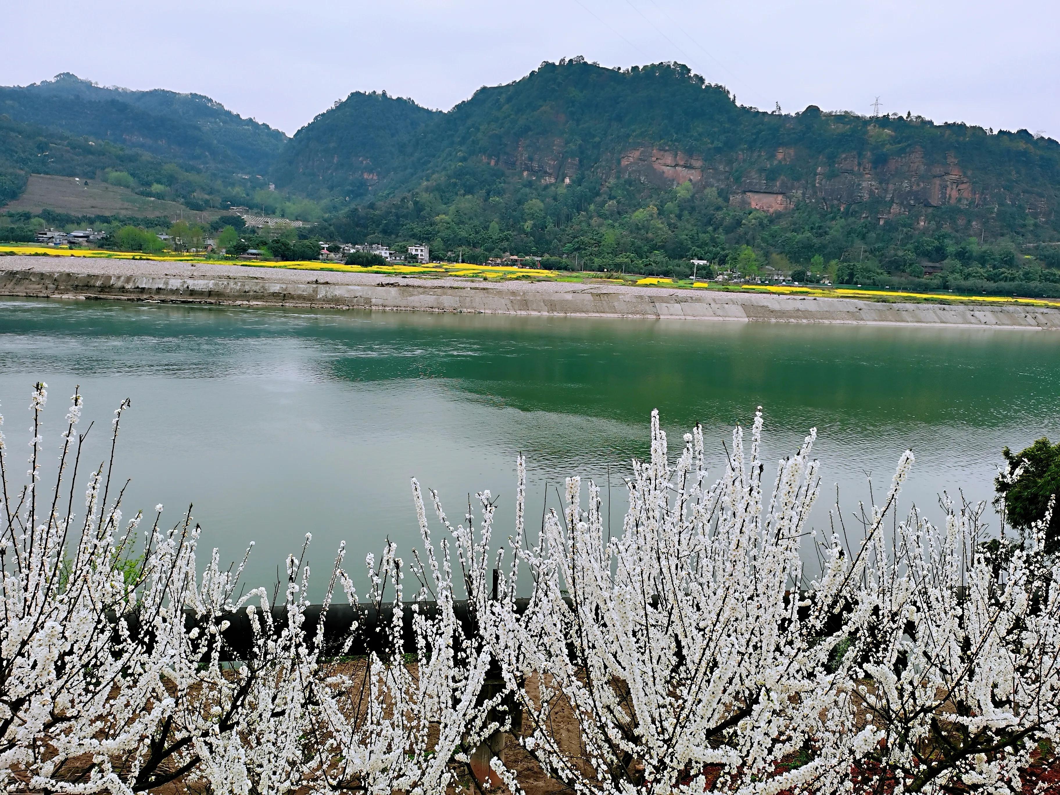 行走在潋滟*光春**里从丹犁古国到千年纸乡的牧马情歌
