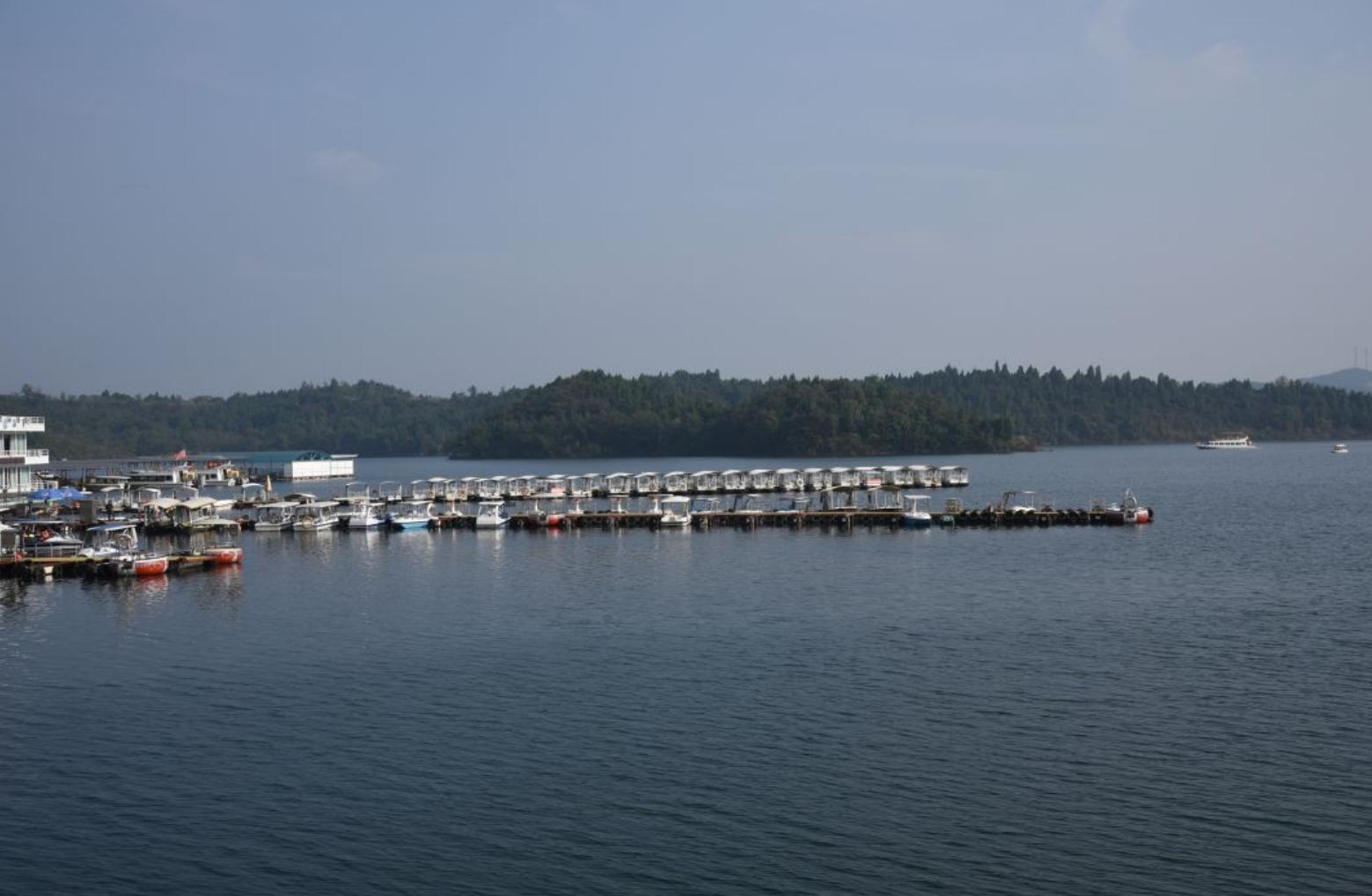 成都童话森林旅游,成都周边两小时的童话森林王国