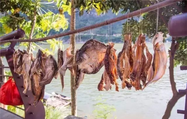 广州疍家渔村,疍家渔村风景