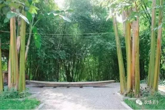 改造山野小院记录田园生活,花4万块钱改造的小院