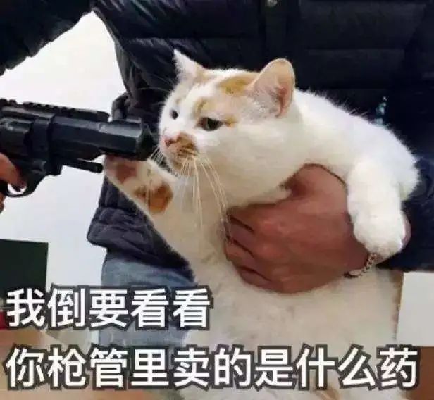 被流浪猫咬了24小时有什么事,被感染新冠的猫咬了一口