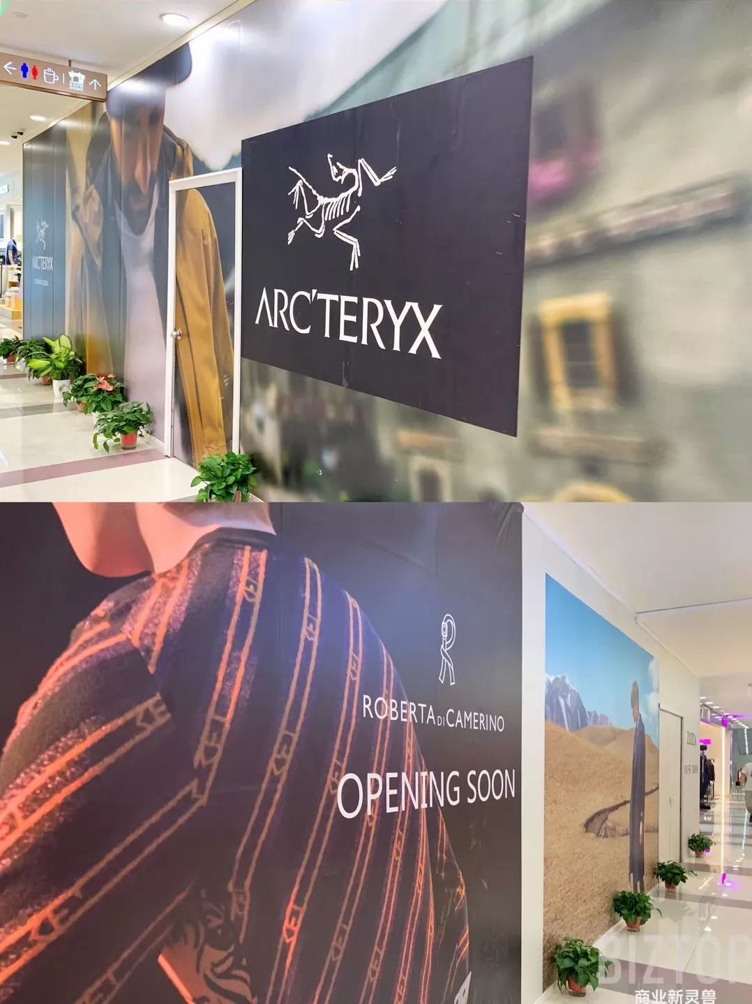 西安赛格品牌大升级!瑞幸和COACH做邻居,西安商业8月迷幻现实