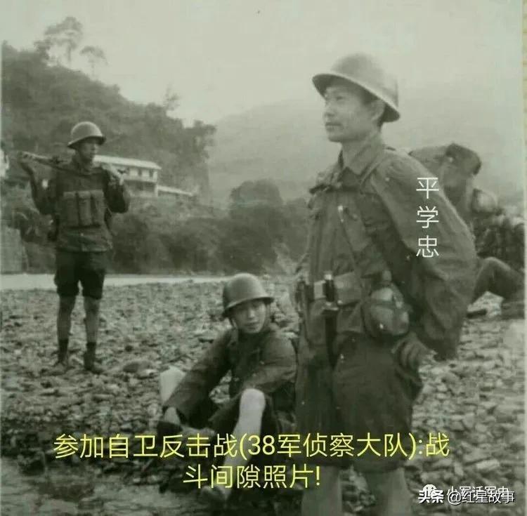 112师炮兵团火箭炮营,陆军38军112师炮兵团