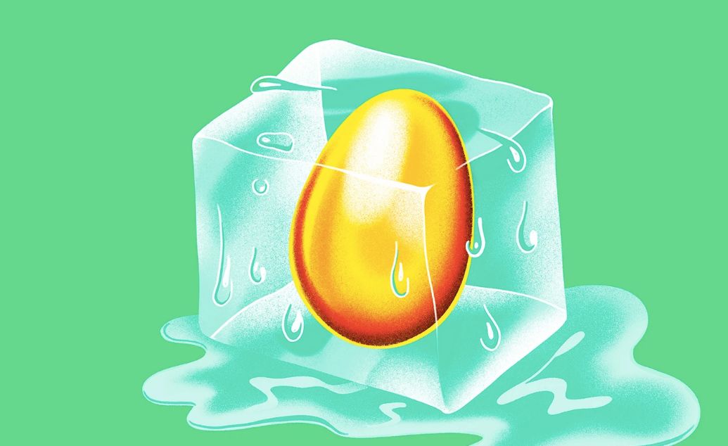 国外冻卵费用,国外冻卵收费