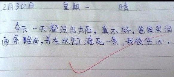 小学生学写日记的方法和技巧,二年级日记格式范文图片