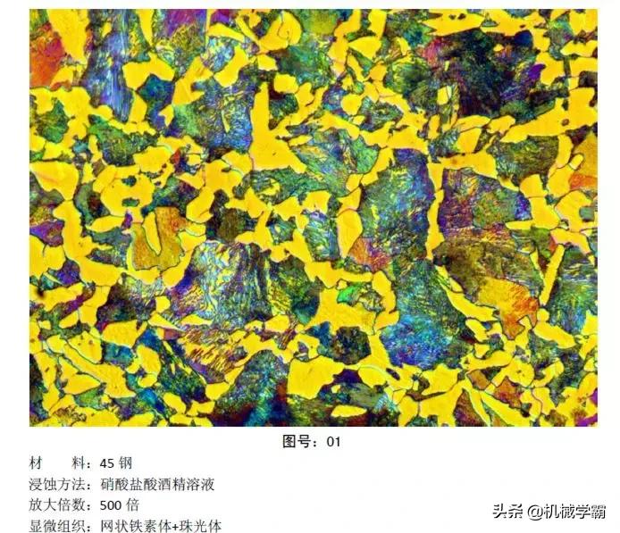 马氏体、奥氏体、珠光体，20种材料彩色金相，带你轻松识别