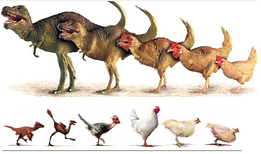 如果地球上同时出现500亿只霸王龙,假如地球出现500万亿只霸王龙