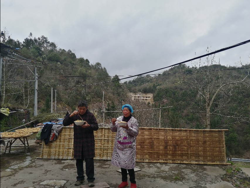 四明山哪座山上有黄精,四明山哪里有山黄精