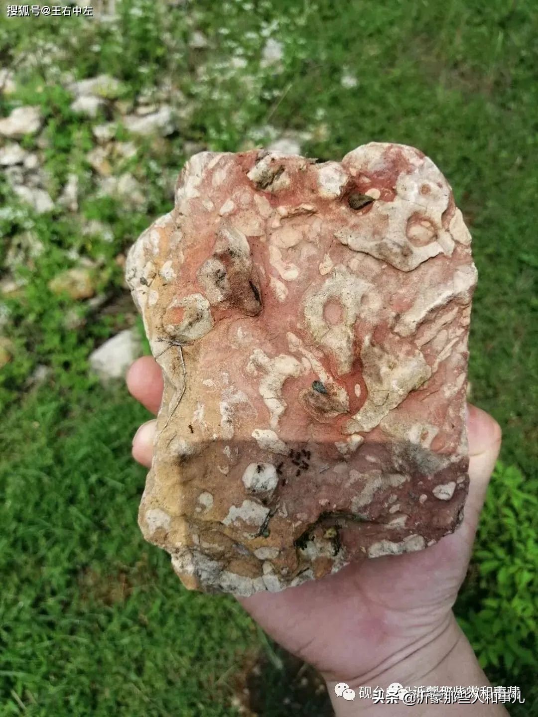 为什么紫金砚珍贵,米芾的紫金砚是怎么来的