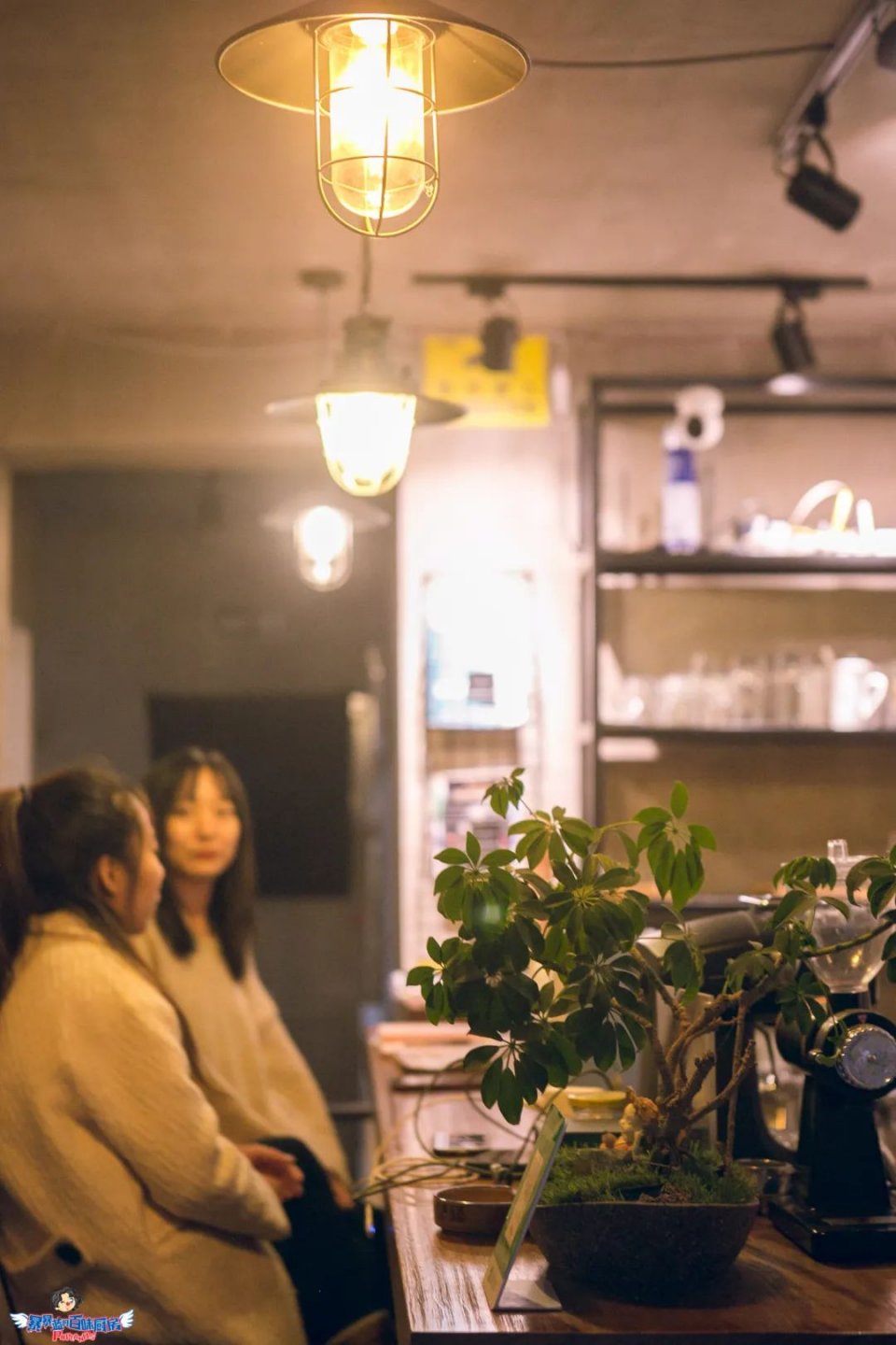 现实中解忧杂货铺,现实版解忧杂货铺小说