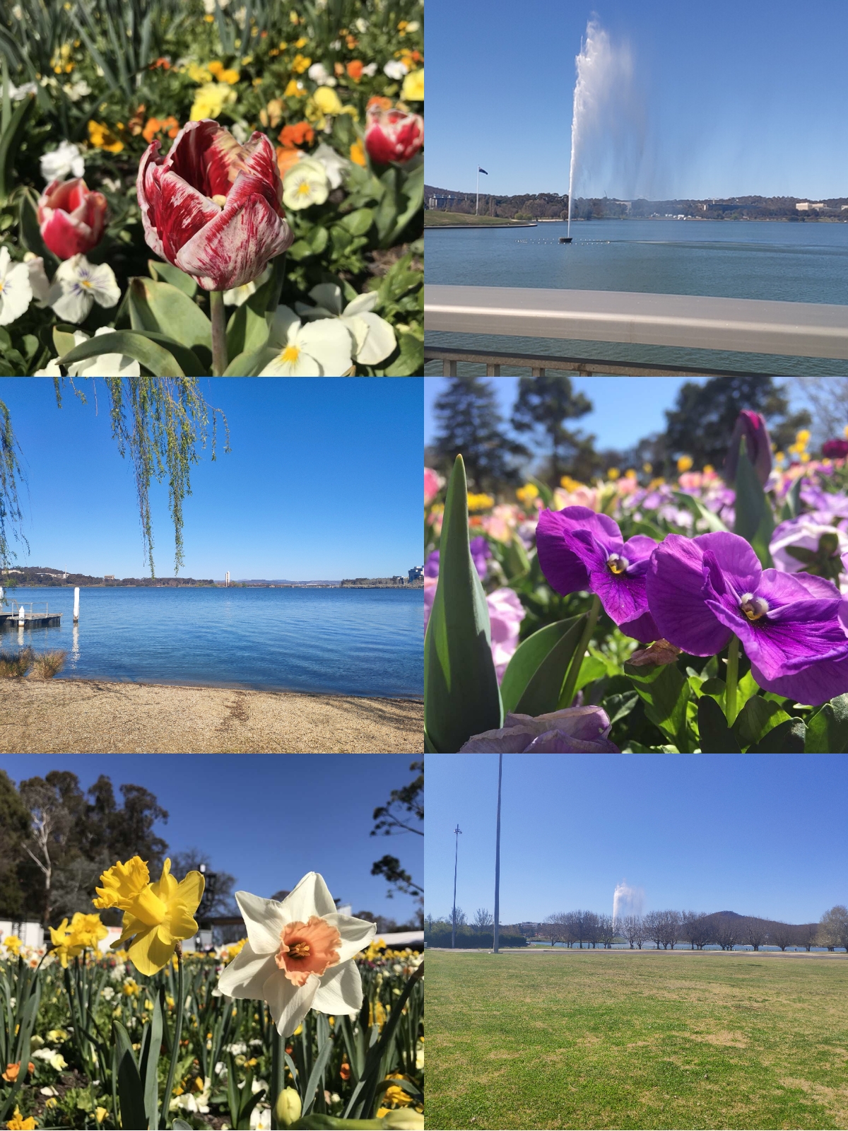 澳洲国立大学深度解析,澳洲国立大学怎么样