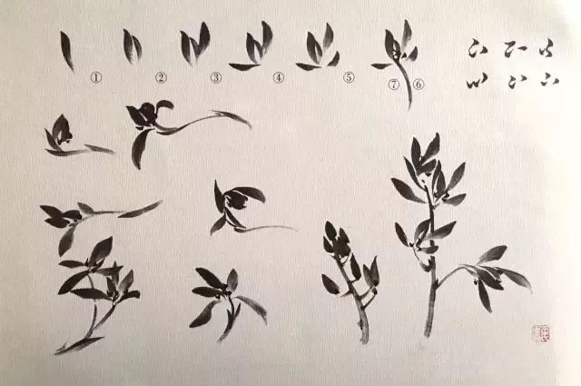 如何画兰花图片大全大图,怎么样画兰花才能好看