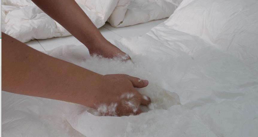 羽绒被以次充好会判刑吗,羽绒被骗局揭秘视频