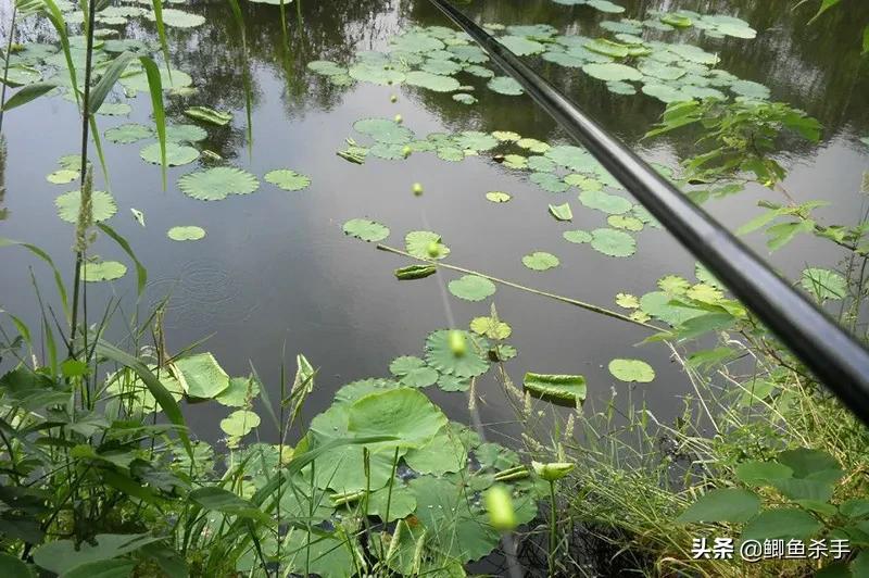 钓鱼人不愿意透露钓点段子,初春钓鱼有鱼无口怎么办