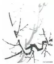 国画梅花画法视频,徐湛梅花画法教程