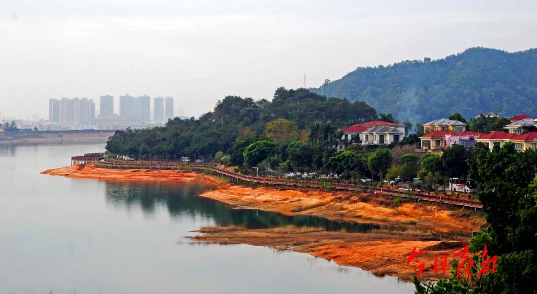 遇见芙蓉是啥意思,遇见芙蓉川菜