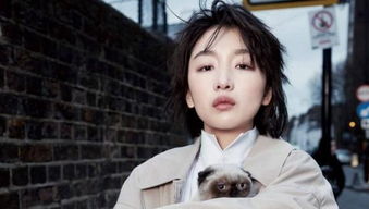 周冬雨出道前家庭条件,周冬雨成名之作电影