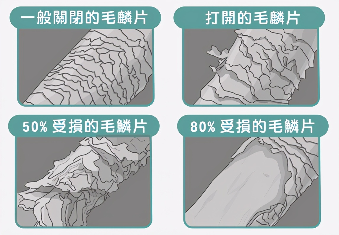 鎶ゅ彂纭呮补,纭呮补涓轰粈涔堣兘鎶ゅ彂