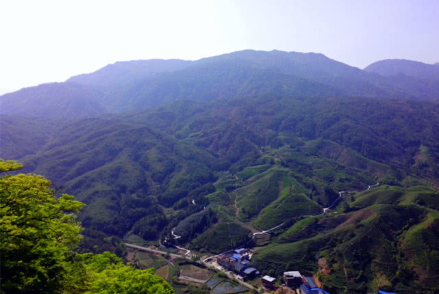 什么茶冷水泡更好喝一点,正确的泡茶方法茶应该怎么泡好喝