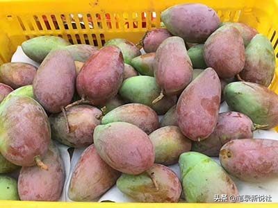 电商实体店必买三种产品,电商不建议购买的4种商家