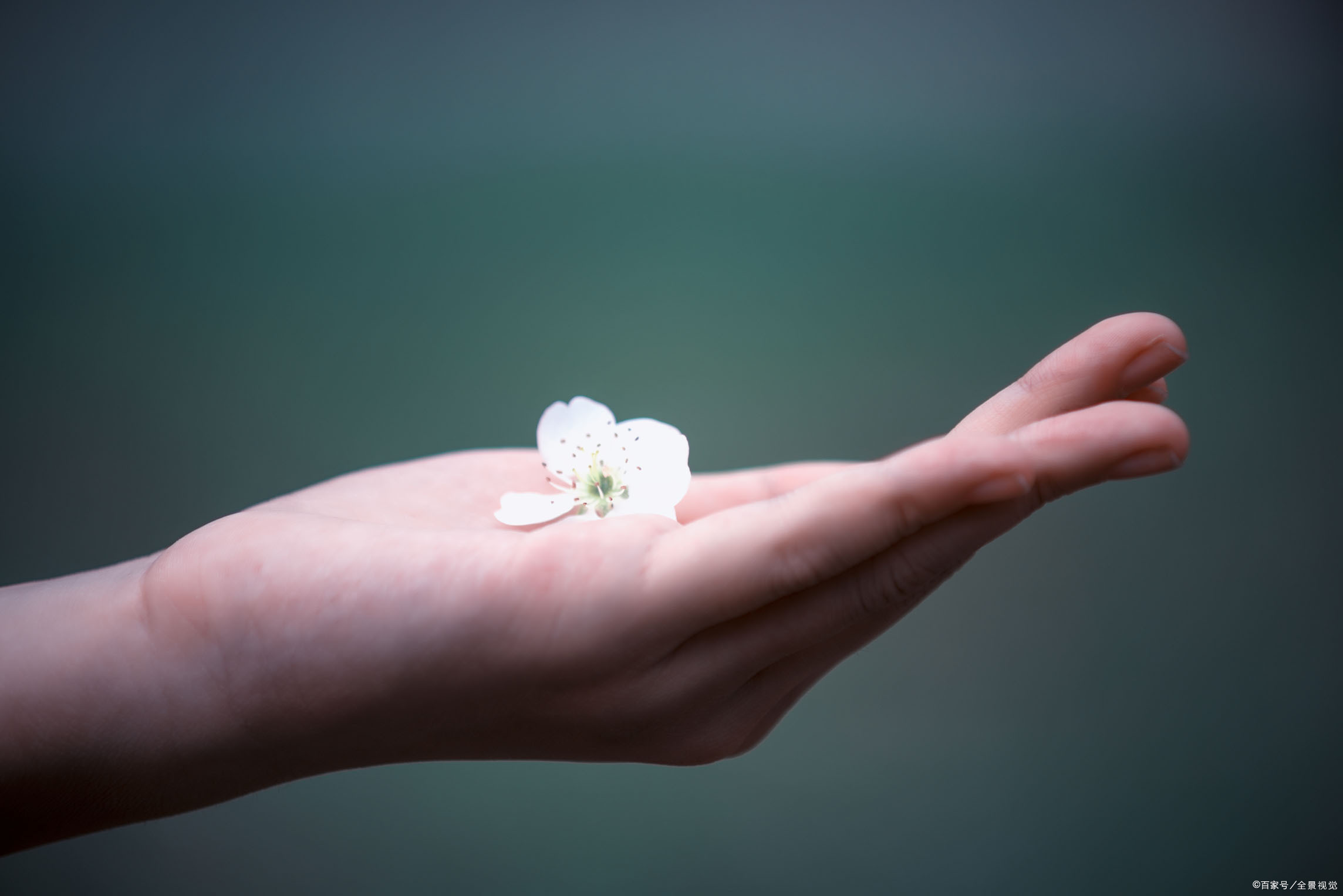 平安福e生保值不值得买,平安20年e生保保费一览表