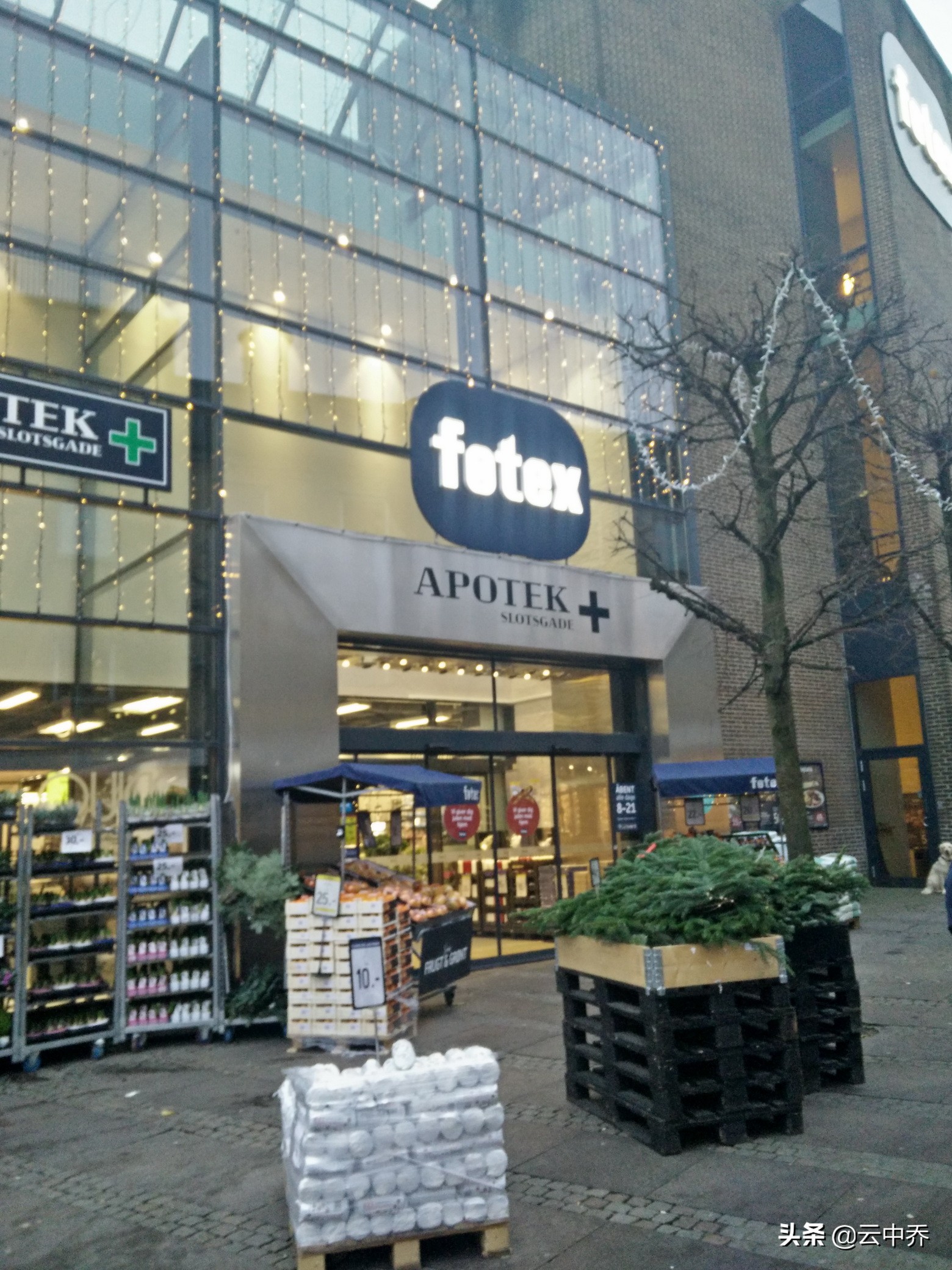 乐高皇冠曲奇 (乐高曲奇)