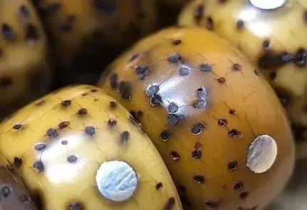 盘玩6年的星月菩提,星月菩提盘玩5年不开片