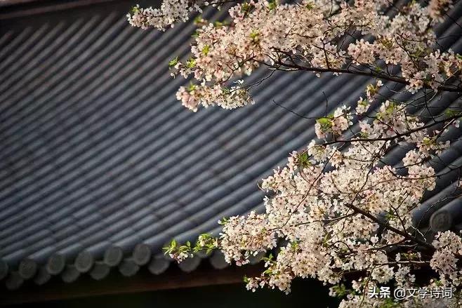 人民日报总结经常误用的成语,人民日报整理最常误用100个成语