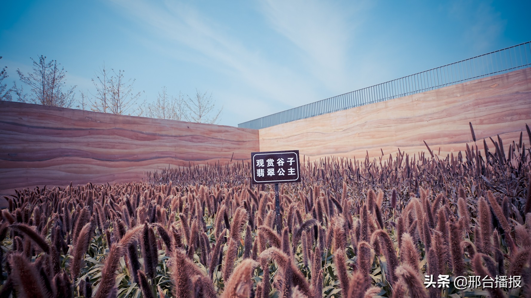 邯郸园博园值得一去吗,是什么限制了我的想像