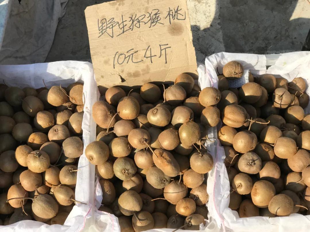 周边最便宜的大集在哪里,10元一两的大集