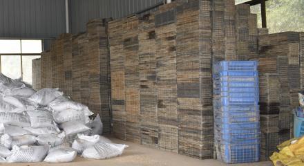 农村青年赚钱,农村青年创业模式