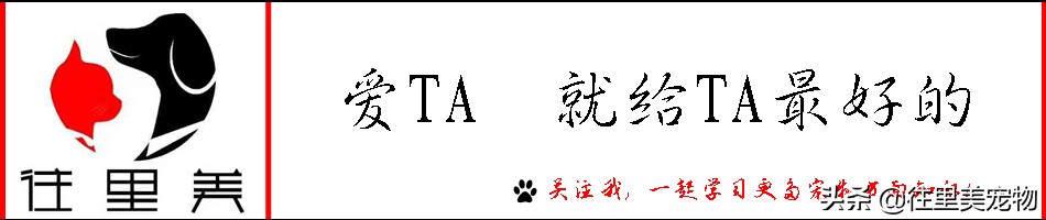 养犬管理问题与对策,犬猫寄生虫性皮肤病治疗方法