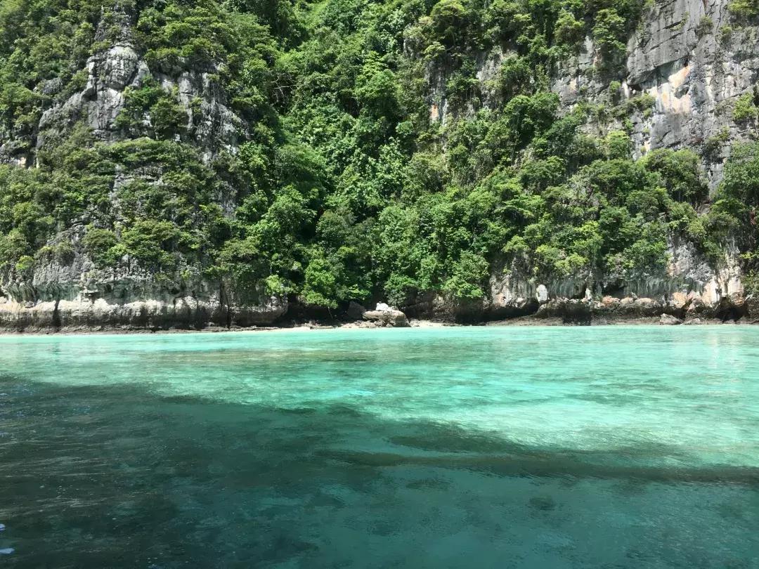 泰国皮皮岛一日游 (泰国皮皮岛旅游团)