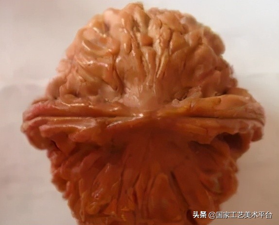 核桃珍稀品类排名,核桃极品色