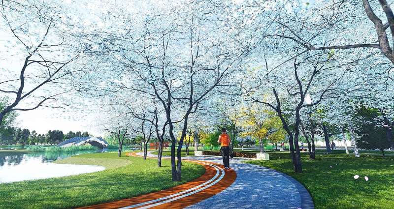 新区天鹅湖公园,天鹅湖生态公园