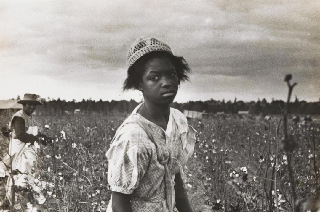 HistoriadeMéxico墨西哥有趣的历史冷知识