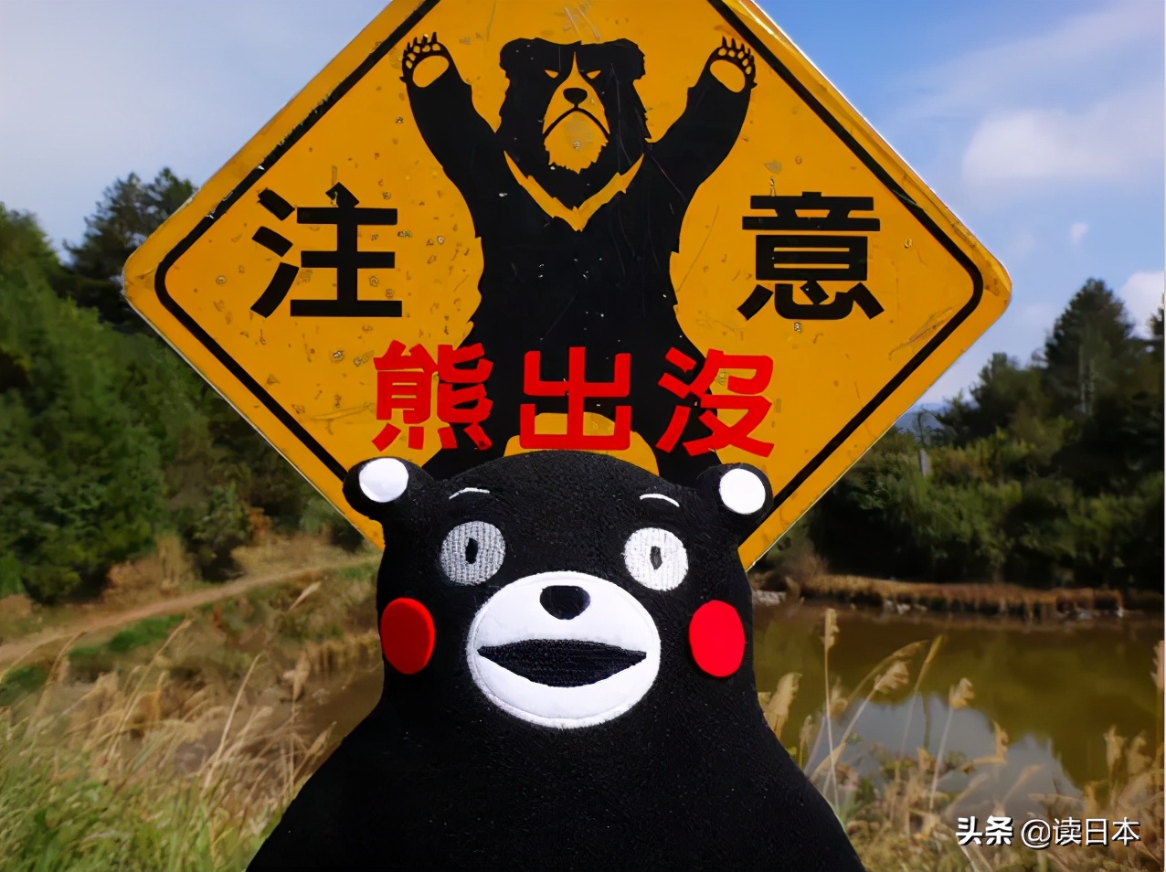 日本熊吃人事件地点,17年日本熊吃人事件