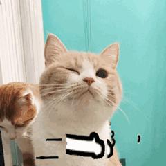 护肤产品成分揭秘,不踩坑护肤的哪些成分不可忽略