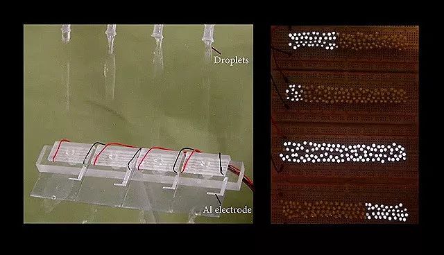 新式灯泡发电机,水力发电机小型