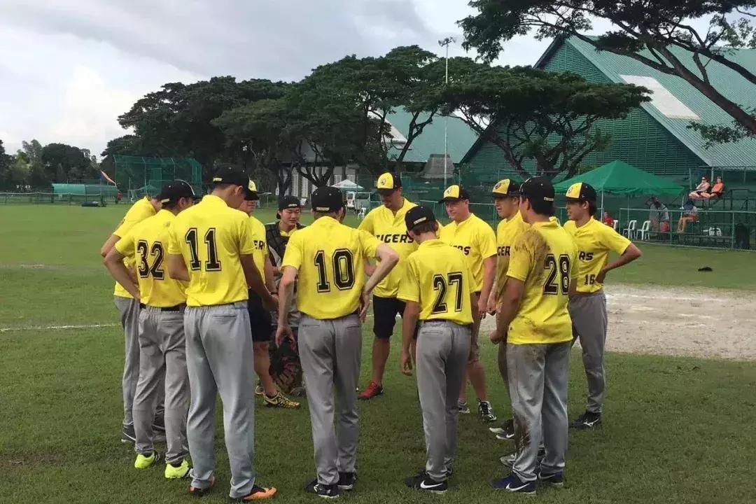 身体不能由自己做主,自己的性别不是自己决定的