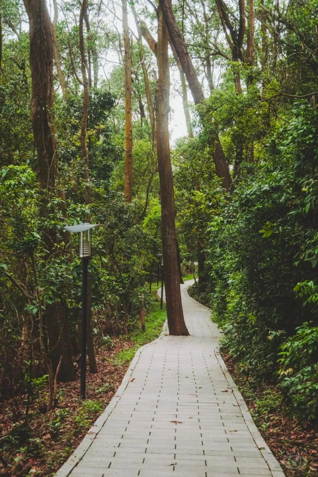 深圳值得去的地标,深圳值得去的景点排行榜