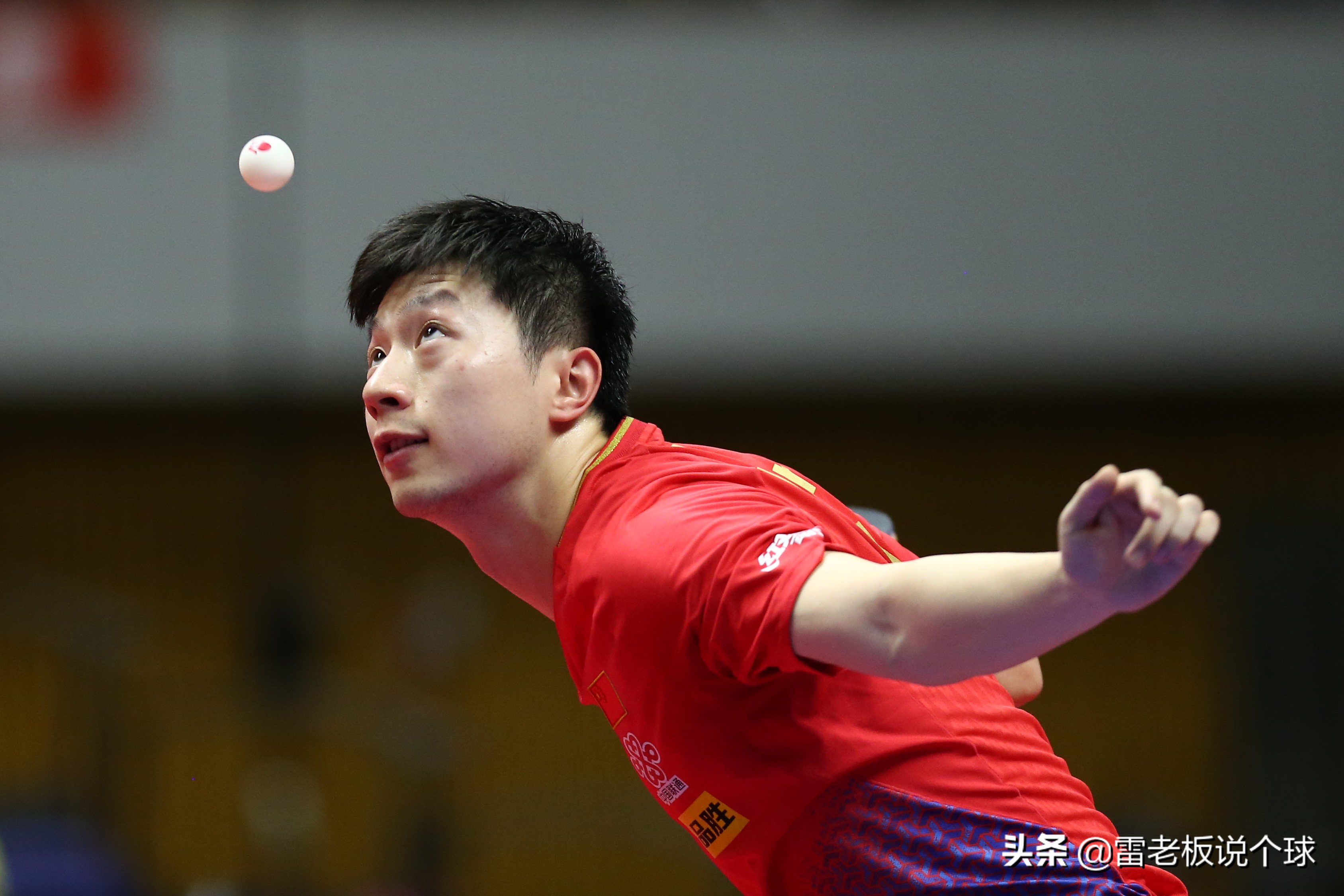 第十四届全运会央视现场直播回放,央视直播14届全运会