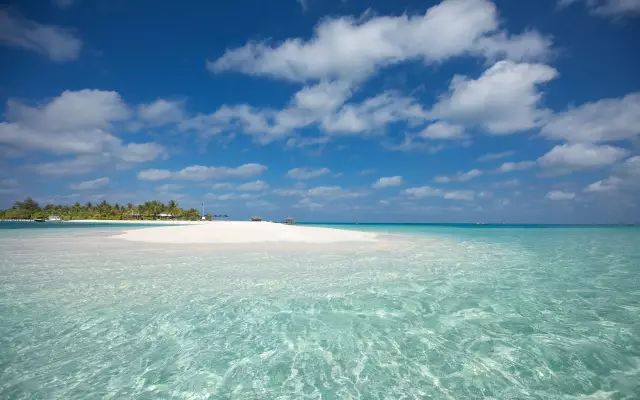 林心如四川度蜜月,林心如马尔代夫