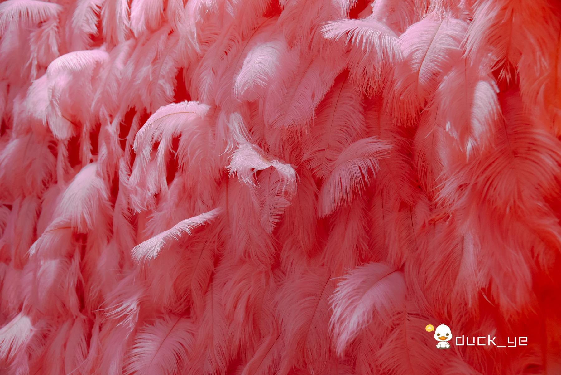 厦门调酒bar酒吧,厦门双子塔天空酒廊调酒师