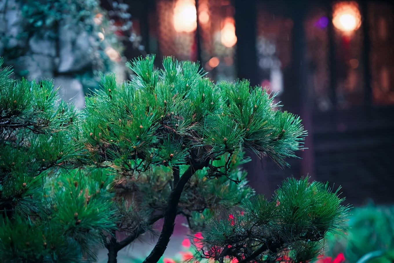 苏州真正的烟雨江南在哪里,江南烟雨苏州古城