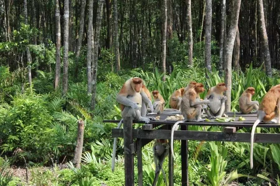 沙巴仙境一日游,沙巴室内一日游