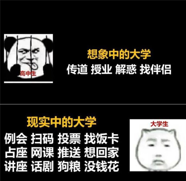 高中和大学哪个更累？4张图告诉你真实答案，个中心酸自行体会