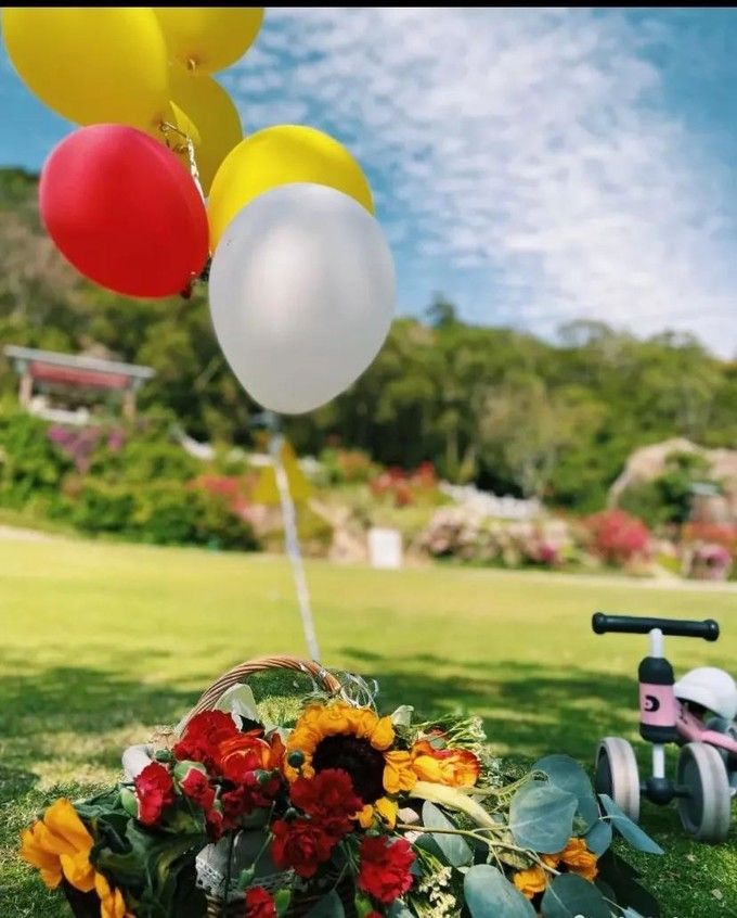 春节厦门自由行5日游攻略,自由行攻略厦门旅游景点