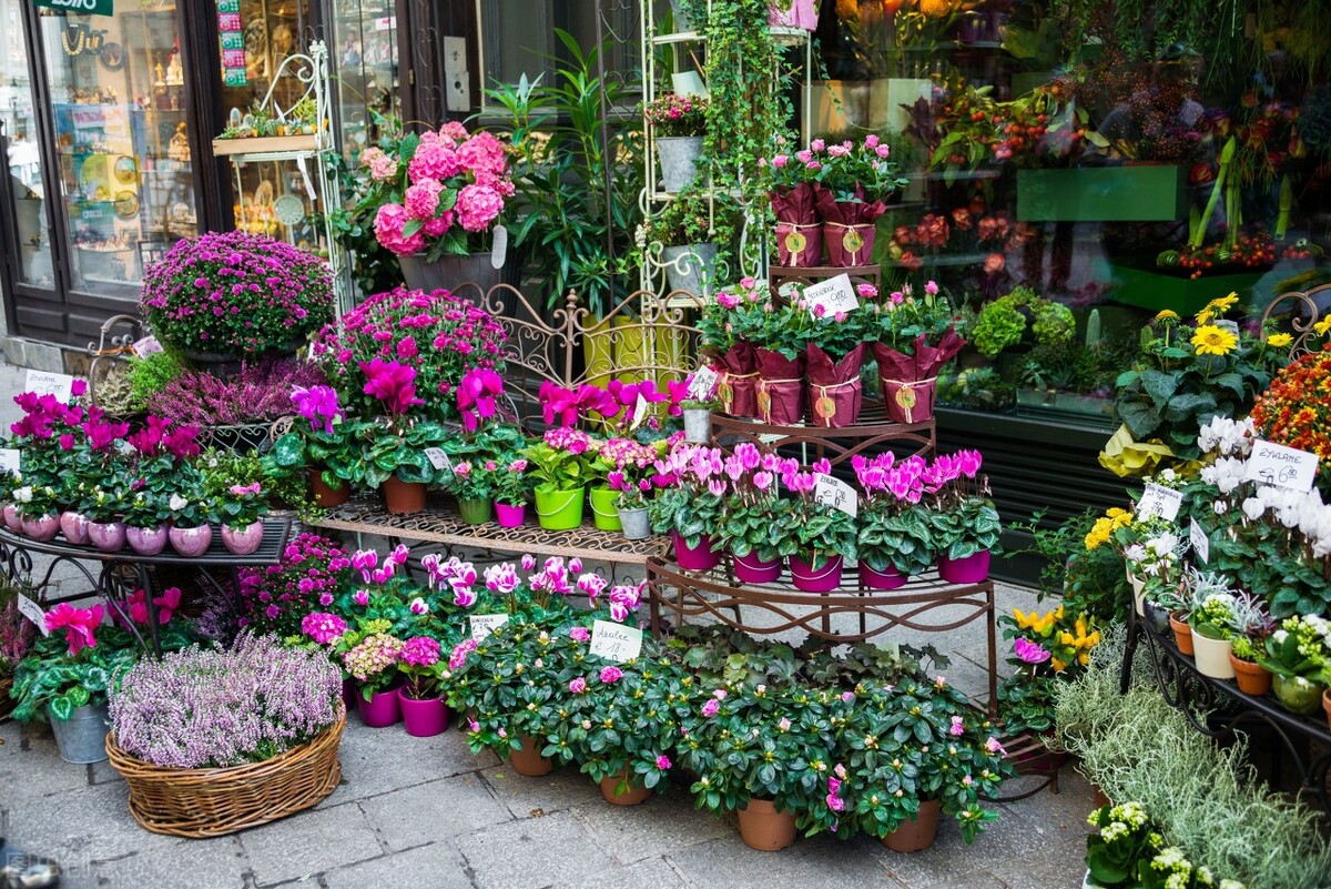 开花店具备条件,如何开花店步骤